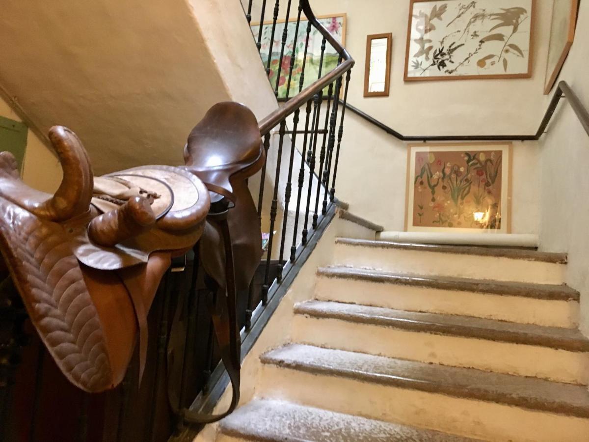 Les Asphodeles Bed & Breakfast Сен-Иполит-дю-Фор Екстериор снимка